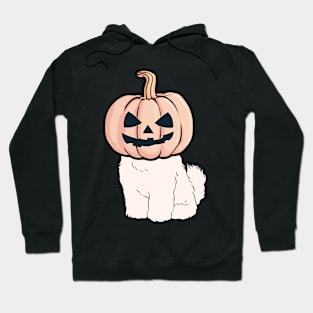 labrador retriever is a Jack-o-Lantern Hoodie